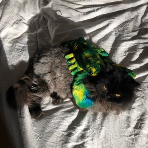 Meet your Posher, Elena